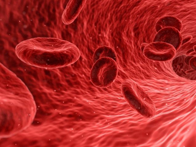 Správná hladina cholesterolu? Jde to i přírodní cestou! Správná hladina cholesterolu? Jde to i přírodní cestou!
